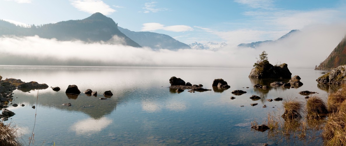 pano-seewiese-nebel