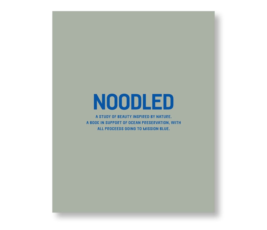 NOODLED01